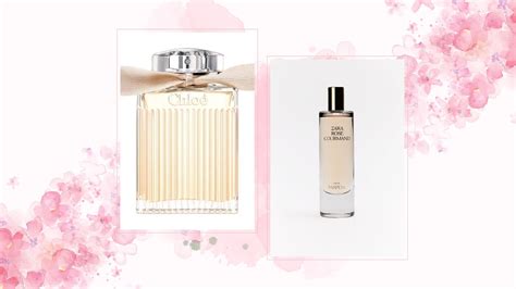 chloe edp dupe|chloe edp for women.